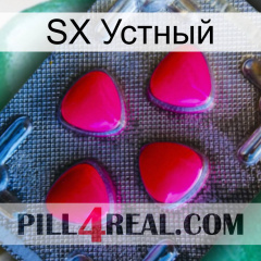 SX Устный 13